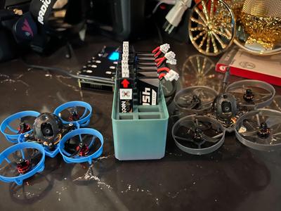 1S TinyWhoop Gridfinity Battery Organizer 2x1