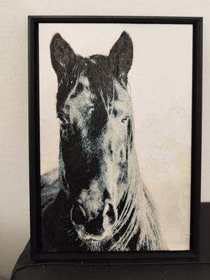 horse black HueForge