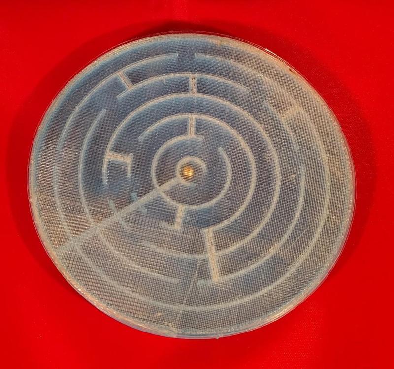 Round tuit puzzle maze