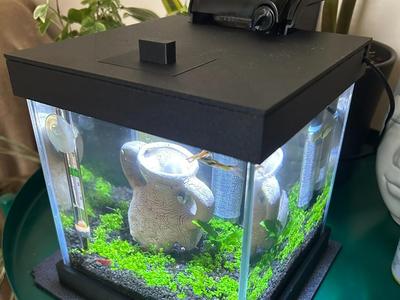 Mini Aquarium Kit (Lid and Stand)