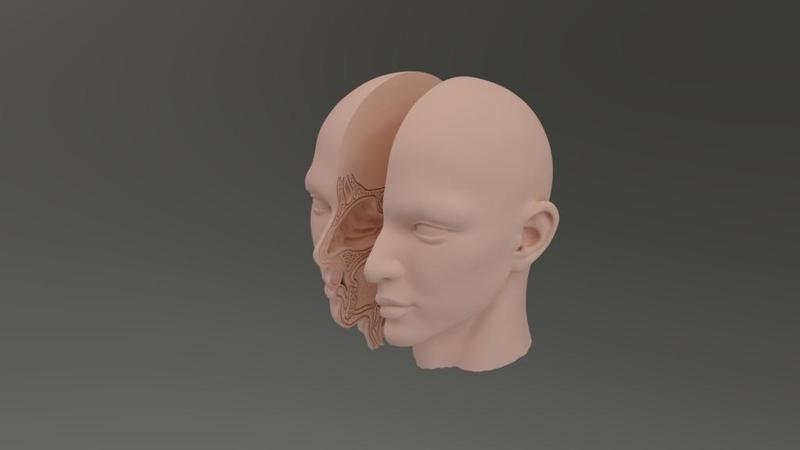 Nose teaching aids