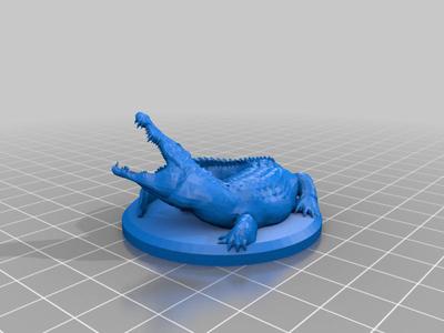 Crocodile