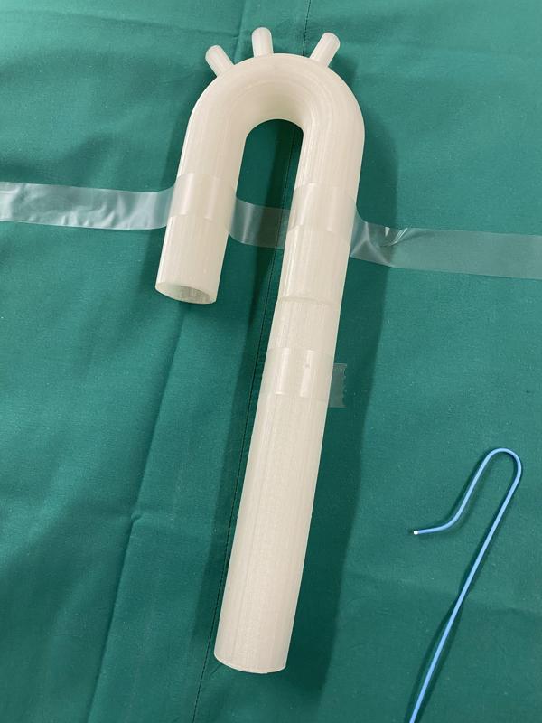 Model of an aortic arch