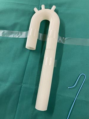 Model of an aortic arch