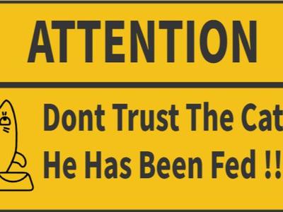 funny sign boy cat