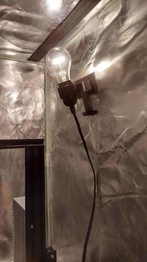 Velcro Light Bulb Holder / Enclosure Light