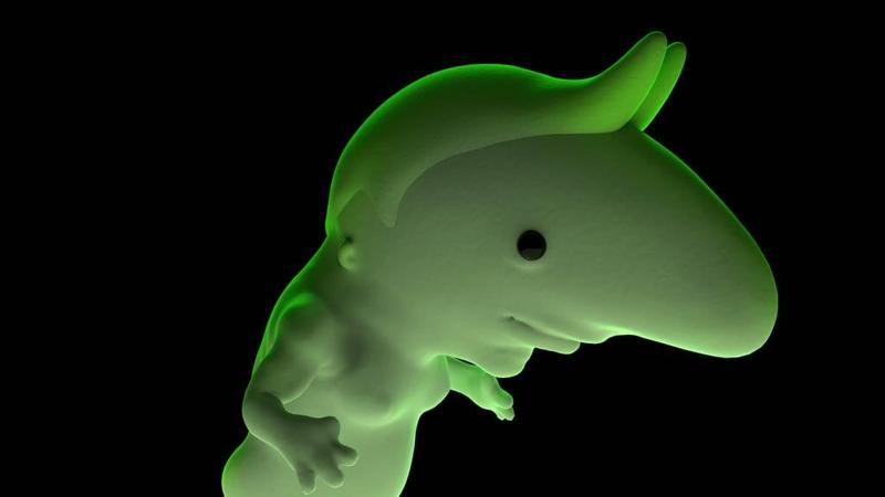 psychicpebbles fan art