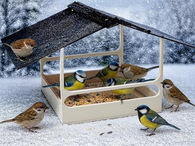 Birdhouse, feeder, bird feeder, 233x233