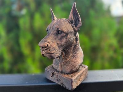 GREAT DANE BUST
