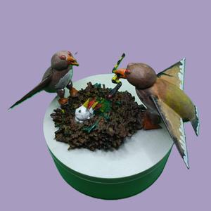 HORA DE COMER (AGUILAS CULEBRERAS)