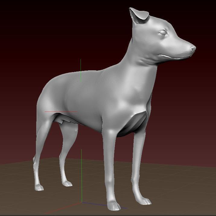 Chilean Terrier (Chilean Terrier)