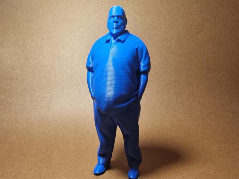 Lebron Fat Guy