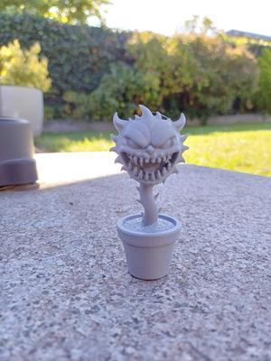 Spiky Snapper — Monster Plant in a Pot