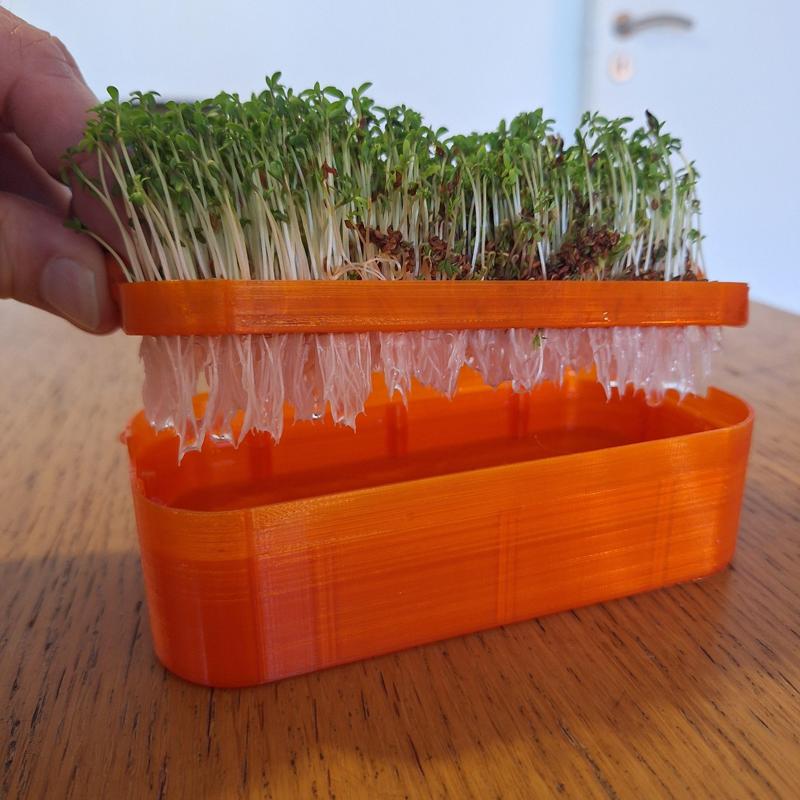Microgreens Tray