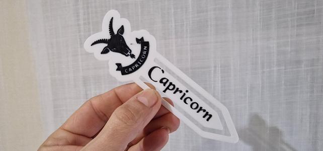 Zodiac CAPRICORN bookmark Marcador Zodiaco CAPRICORNIO