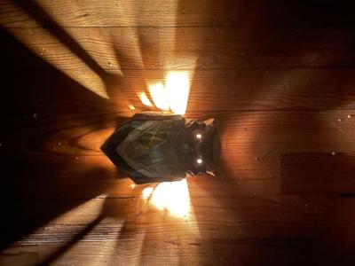 OWL SCONCE - BOU