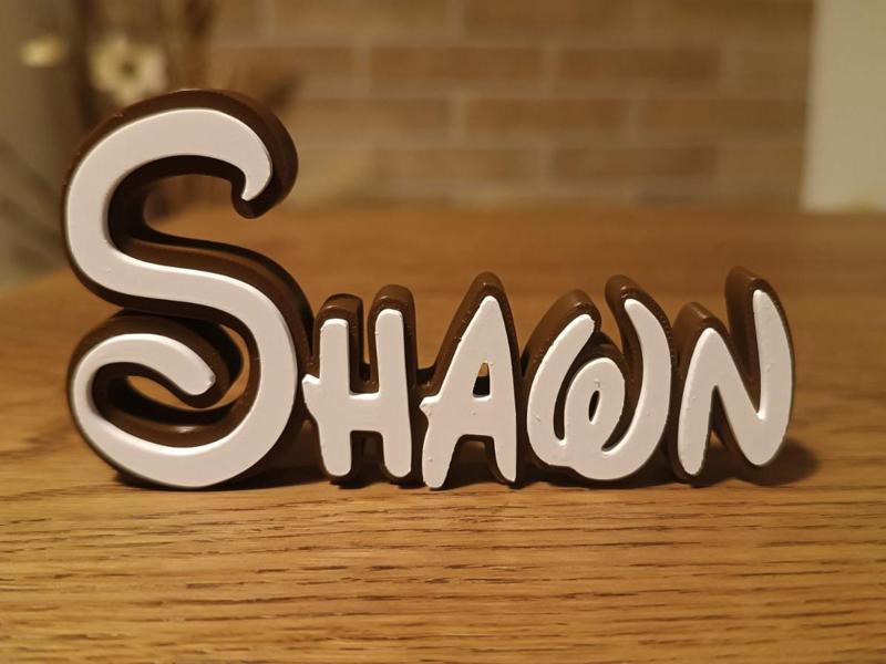 Disney Name Sign Shawn Kid Room Wall Decor Tag 