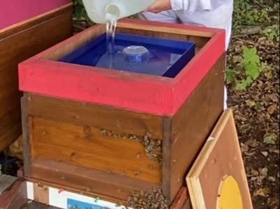4L Bee Feeder - with good & cheap cap