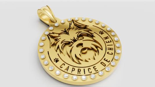 Custom Dog Jewelry 3D printable model