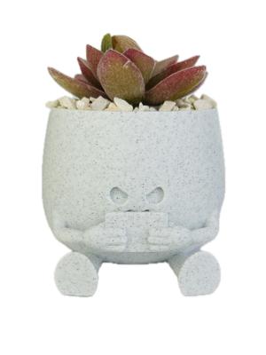 BOBBY PLANTER / GAMER PLANTER / SUCCULENT PLANTER