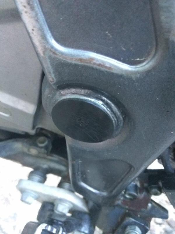 Dr Boo's DR650 pivot plug