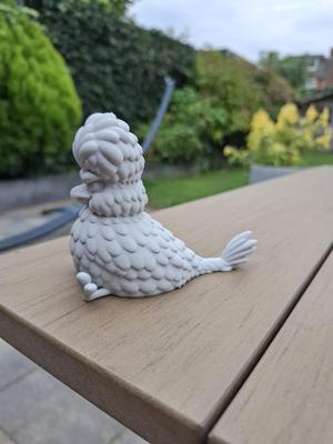 Silkie Chicken
