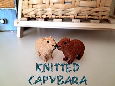 Knitted capybara