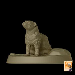 Familiar_Ferret_(32mm)