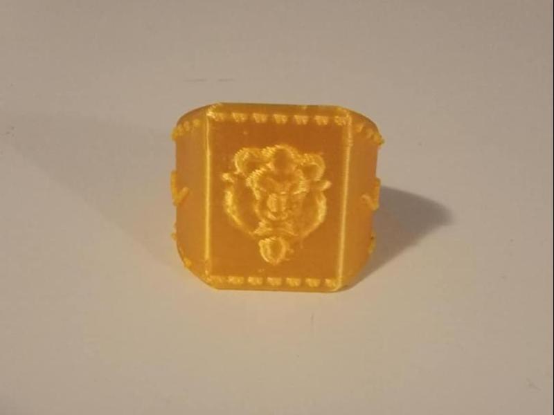 Descendants - Bens Ring v2