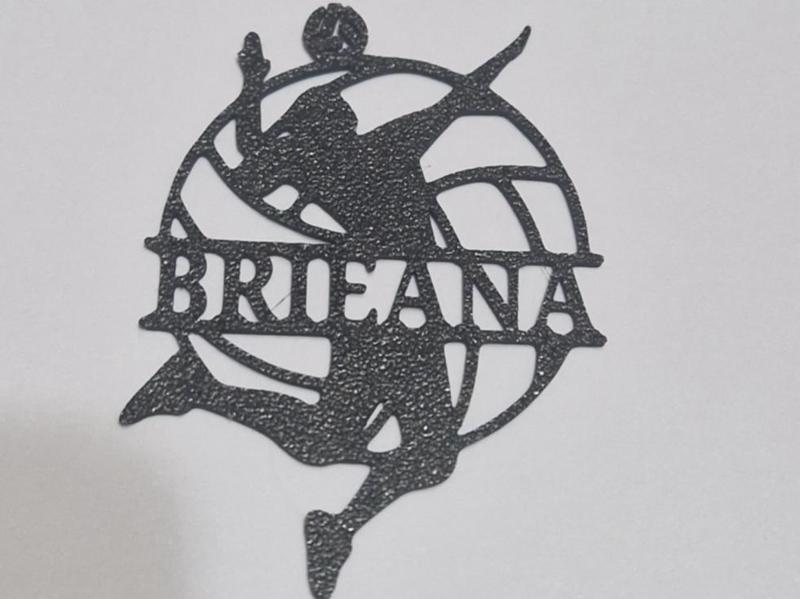 Volleyball player Brieana