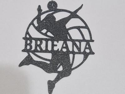 Volleyball player Brieana