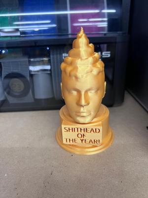 SH*THEAD of the year