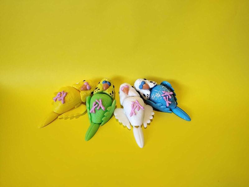 Parakeet or Australian Parakeet articulated