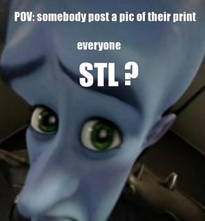 No stl meme