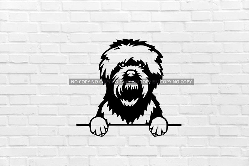 affenpinschers CHIEN ART MURAL 2D DECORATION