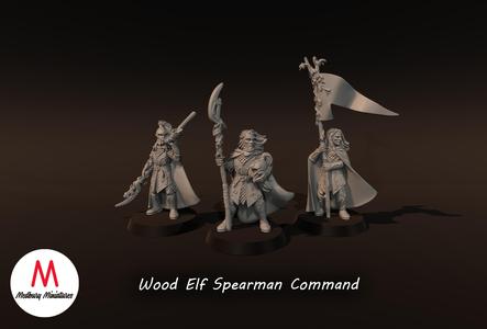 Wood Elf Spearmen Command