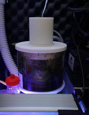 bbm CURVE 5 Protein Skimmer Cleaner