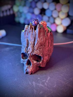 The Skull of life.