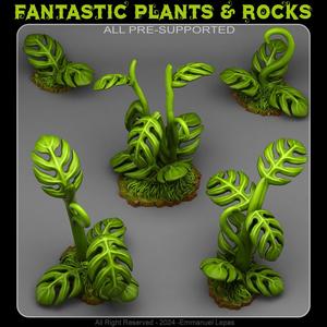 GIANT TROPICAL PLANTS