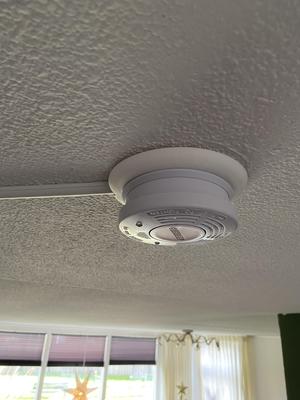 smoke detector on central box