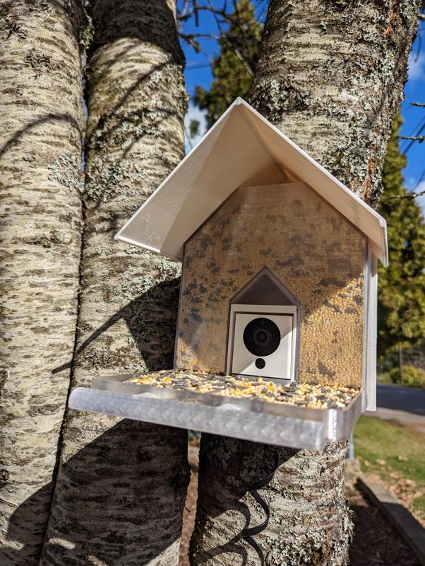 Parametric Bird Feeder For Wyze Cam and Similar