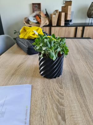 Vase