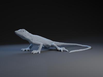 Tree Lizzard