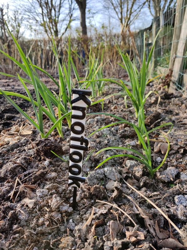 [Dutch] Moestuin bordjes (signs for vegetable garden)