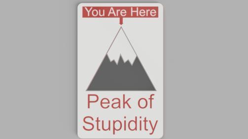 Peak of Stupidity Pocket Award
