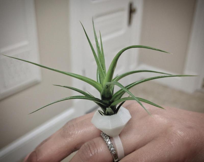 Planter Ring