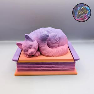 Cat Book Box
