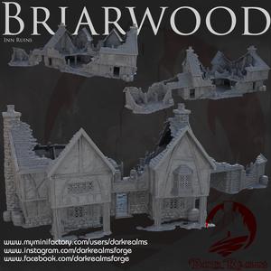 Dark Realms - Briarwood - The Leaping Frog Inn Ruins