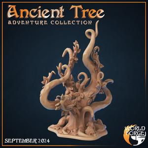 Ancient Tree