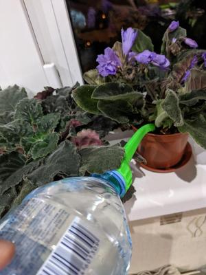 Plastic bottle watering attachment